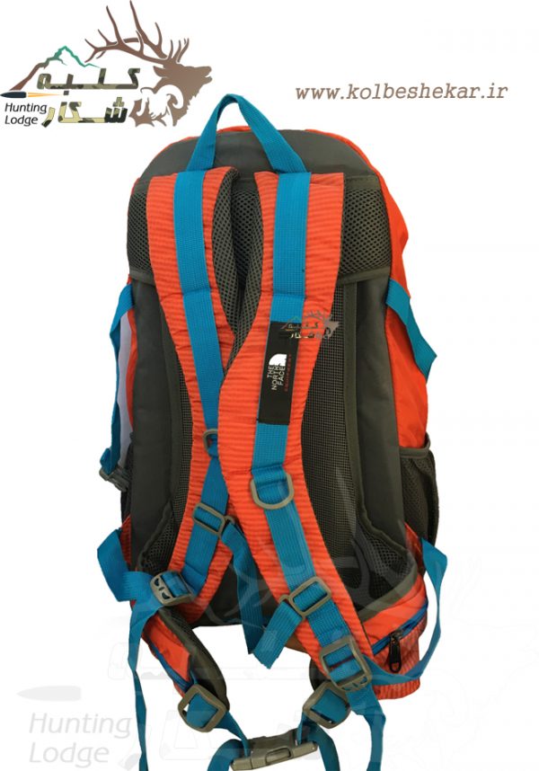 کوله پشتی نورث فیس 40 لیتری 3 | THENORTHFACE BACKPACK