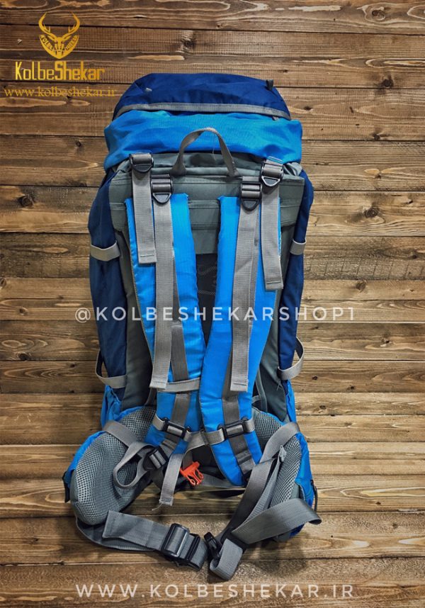 کوله پشتی دیوتر 45لیتری آبی2 | Deuter 45L BACKPACK